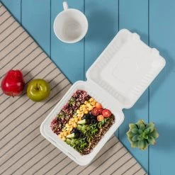 Oak PLUS Sugarcane Clamshell Containers, 300 Pack, White, 8.66"lx7.95"w, 1000ml -High End Kitchen 413133e10f619ccb 4051 w800 h800 b0 p0