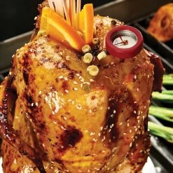 Broil King Stainless Steel Chicken Roaster 10 Broil King Stainless Steel Chicken Roaster -High End Kitchen 62e171bd007f0e20 3479 w800 h800 b0 p0