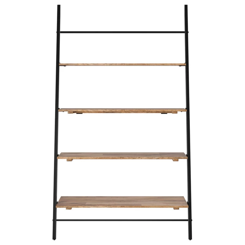 Lasalle Ladder Shelf, Natural 9 Lasalle Ladder Shelf, Natural - Image 9