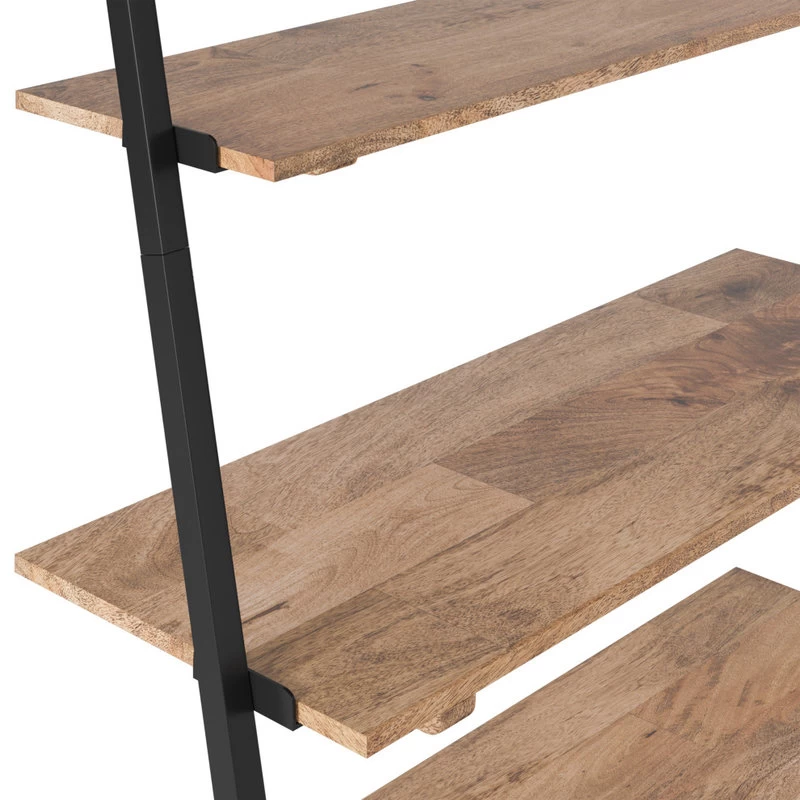 Lasalle Ladder Shelf, Natural 11 Lasalle Ladder Shelf, Natural - Image 11